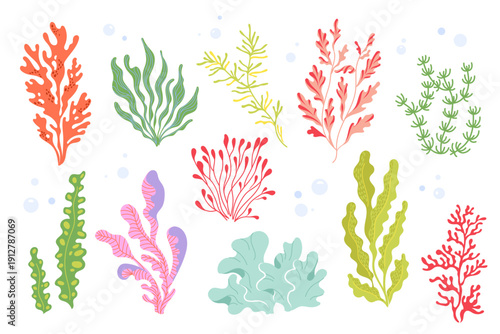 Hand-drawn cute seaweed and coral illustration set with soft pastel colors. Playful underwater vector botanical collection with bubbles for nursery decor, kids design, fabric and ocean themed prints