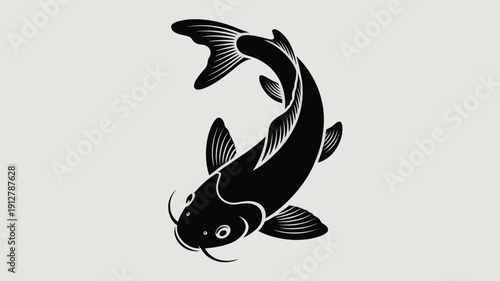 Elegant black catfish swimming in dynamic motion with detailed fins