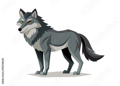 Majestic gray wolf standing alert on white background with lush fur and intense gaze representing wilderness and natural beauty