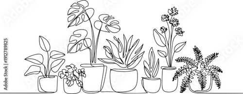 Set of continuous line drawing of house plant and flowers in pots.one line victor illustration in white Background