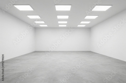 Bright, modern empty room with white walls, concrete floor, and square ceiling lights creates spacious minimalist interior