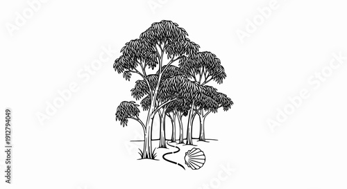 A stylized drawing of eucalyptus trees lining a winding path with a scallop shell