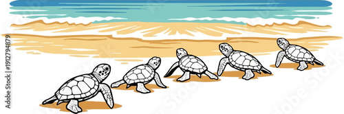 Baby sea turtles crawl towards the ocean on a sandy beach under a blue sky