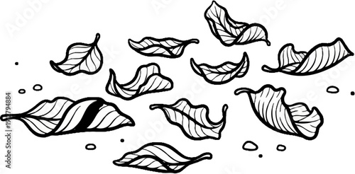 Autumn leaves scattered on the ground, black and white line art illustration