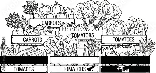 A variety of fresh vegetables displayed in wooden crates at a market stall