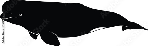 Black whale silhouette illustration viewed from the side in a white environment