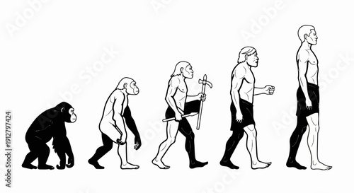 A visual representation of human evolution from primate to modern man