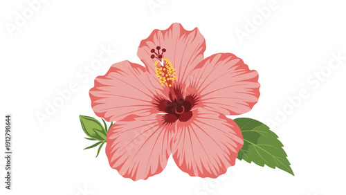 Vibrant pink hibiscus flower with green leaves and a small bud is beautifully illustrated against a plain white background.