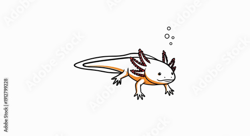 A white axolotl with orange accents swims with bubbles