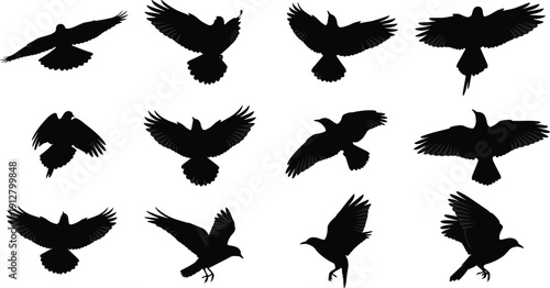 Flying Bird Silhouette Collection with Crow and Raven Spread Wings Isolated on White Background for Wildlife, Tattoo and Logo Design