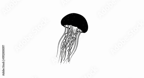 Artistic black jellyfish with flowing tentacles on a white background