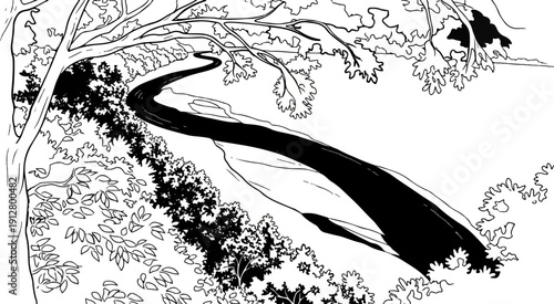 A winding dark path snakes through lush green foliage under a leafy tree