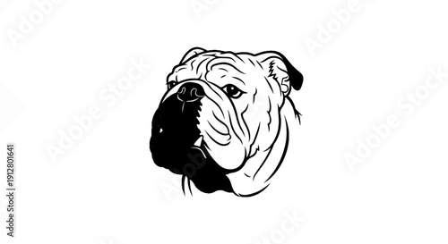 A striking black and white line drawing of an English Bulldog's face