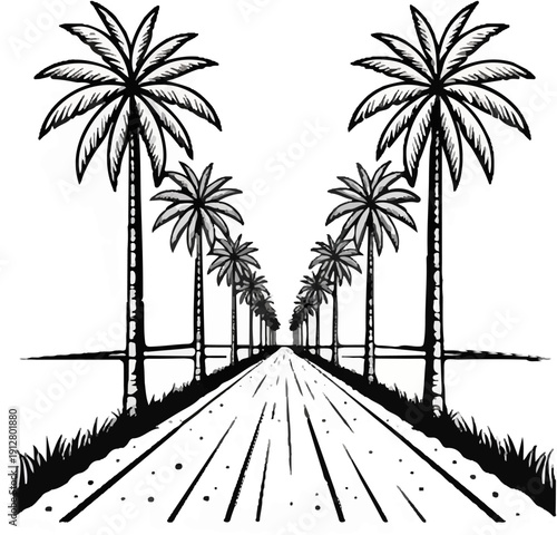 A vanishing point perspective road lined with palm trees and sparse grass