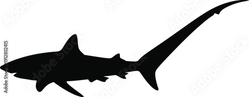 Silhouette of a shark swimming in the ocean viewed from the side profile