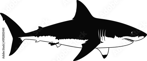 Silhouette of a great white shark swimming in ocean waters vector illustration