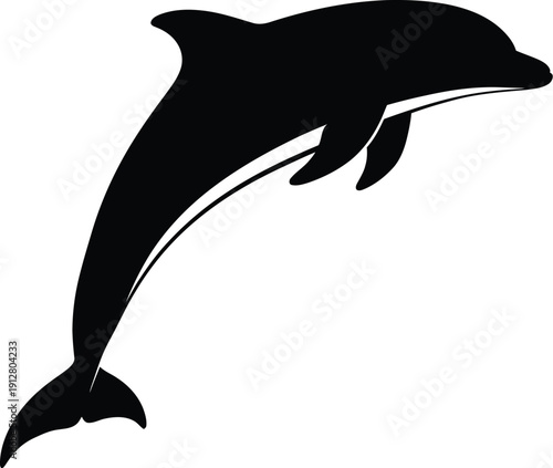 Dolphin leaping high in ocean waves, a silhouette illustration, Whisk, ocean, aquatic scene viewed from below