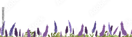 Lavender floral border with botanical spa elements