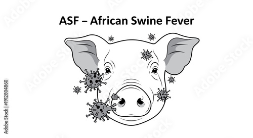 African Swine Fever (ASF) virus illustration with pig head, depicting viral infection in livestock and swine industry.