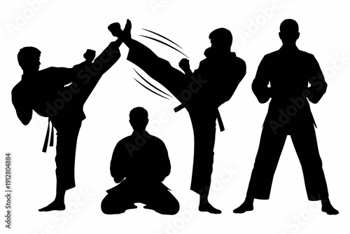 Silhouette of people practicing martial arts in various poses and movements together