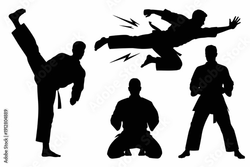 Silhouettes of people practicing karate and martial arts in various poses and movements