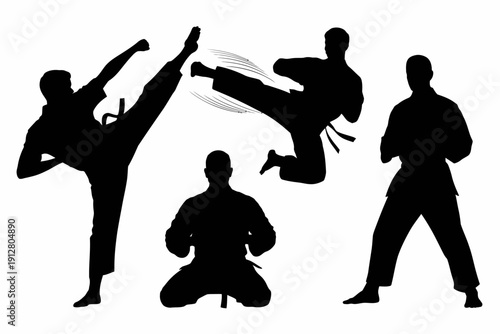Silhouette of people practicing various martial arts poses and movements together in unison