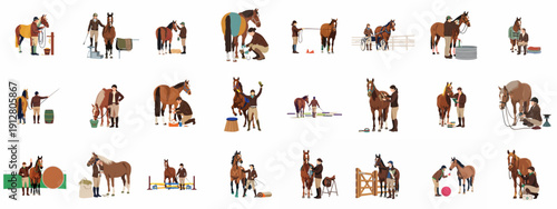 Comprehensive set of flat vector illustrations depicting equestrian professionals and owners engaging in horse care, stable management, grooming, training, and routine health checks.