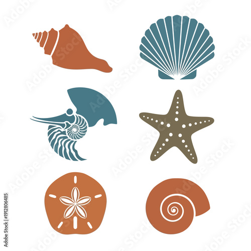 Vibrant ocean shells and sea creatures illustrations