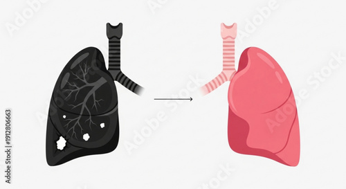 Healthy pink lung contrasted with diseased black lung medical illustration for respiratory health and disease awareness isolated on white