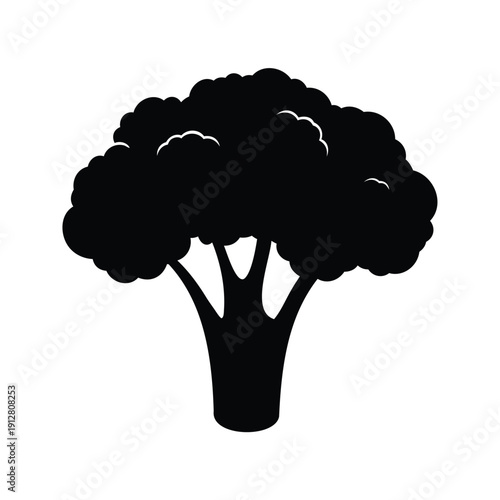 Silhouette of a broccoli plant with detailed leaves and stems vector illustration, broccoli silhouette vector illustration