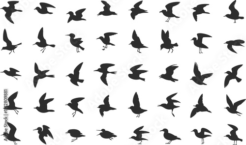 Black bird silhouettes collection in grid formation, flying standing perched poses, ornithology identification design inspiration vector illustration