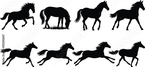 Black horse silhouettes in various poses, grazing, trotting, standing, walking, galloping, running, animal movement illustration vector