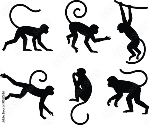 Black monkey silhouettes in dynamic poses, walking, sitting, crouching, leaping, hanging, reaching, artistic animal posture collection illustration
