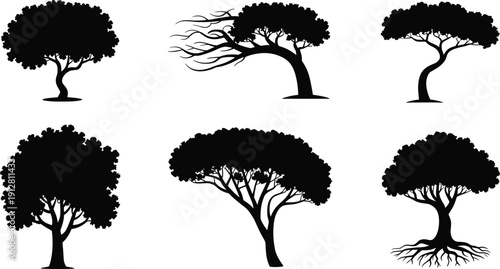 Black silhouette tree illustrations with diverse trunk and canopy shapes, abstract and naturalistic forms for design, nature, and art projects