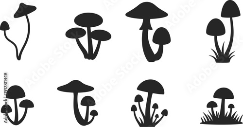Black silhouettes of diverse mushroom shapes arranged in two rows, showcasing unique caps, stems, clustered designs, botanical illustration