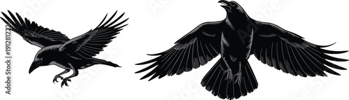 Dynamic black ravens in flight, artistic crow illustrations with dramatic wings spread, expressive bird motion, blue feather highlights