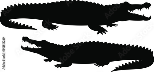 Silhouette comparison of crocodile and alligator reptiles showing distinct snout shapes, rugged body outlines, sharp teeth, long tails