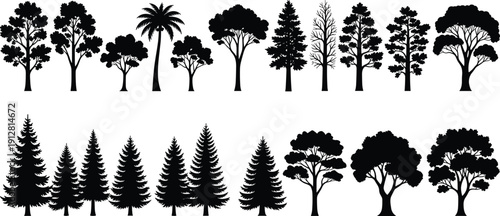 Black silhouettes of various tree species including pine fir palm and oak isolated on white background for forest landscape nature park and environmental design projects