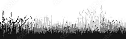 Meadow silhouette with grass, plants on plain. Panoramic summer lawn landscape with herbs, various weeds. Herbal border, frame element. Black horizontal banners. Vector illustration