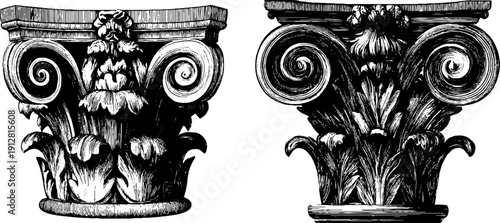 Vintage engraved sketch of corinthian capitals with acanthus leaf details for classical design