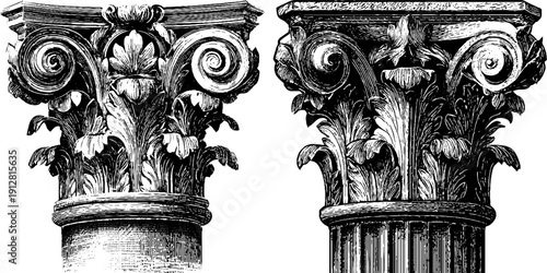 Detailed engraved illustrations of corinthian columns featuring acanthus leaves for design and architecture inspiration