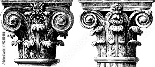 Vintage engraved illustration set of corinthian columns and acanthus leaves for architectural design