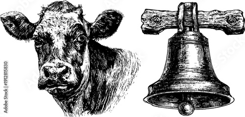 Vintage engraved illustration set of cow head, full cow, and bell for retro design