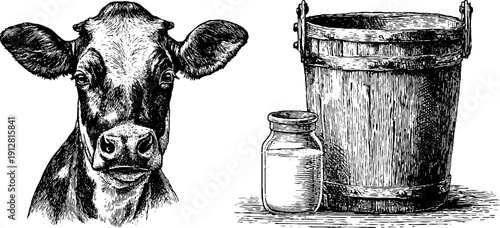 Engraved cow head and complete cow with milk bucket and jar illustration
