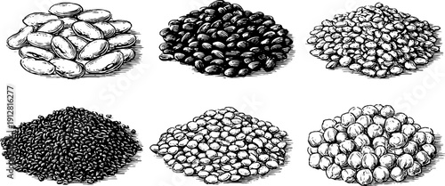 Vintage engraved illustration of dried beans and lentils set for retro design