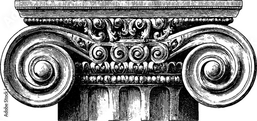 Classic ionic capital with volutes - vintage architectural engraving for design
