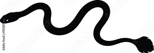 Black snake illustration on white, twisting, turning, curving, winding, isolated vector graphic depiction