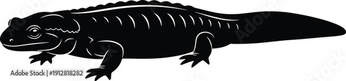 Black silhouette of alligator or crocodile illustration on white