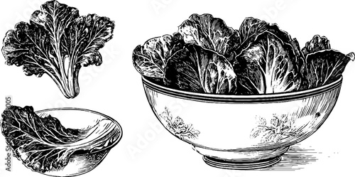 Vintage set of engraved salad greens trio with spinner for culinary art design