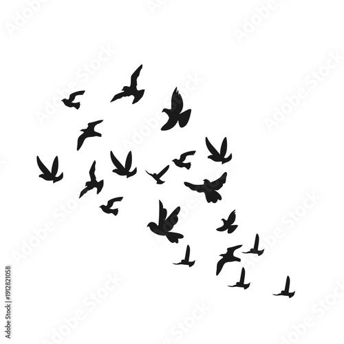 Flock Of Bird Flying Silhouette 